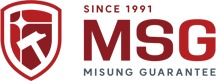 msg logo
